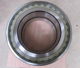SL045040PP double row full complement cylindrical roller bearing,sealed bearing