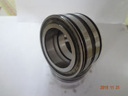 Full complement cylindrical roller bearing SL045010 PP