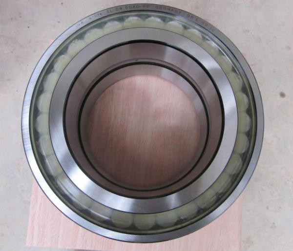 SL045038PP double row full complement cylindrical roller bearing,sealed