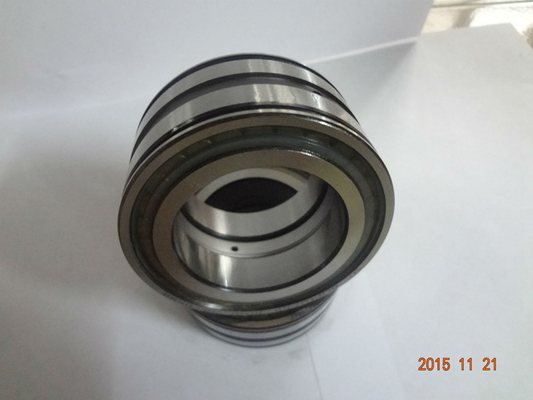 Full complement cylindrical roller bearing SL045010 PP