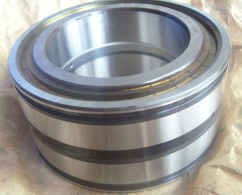 China SL045012PP double row full complement cylindrical roller bearing,sealed bearing supplier