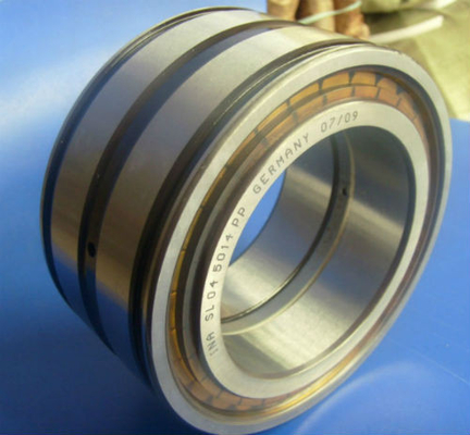 China SL045014PP double row full complement cylindrical roller bearing,sealed bearing supplier