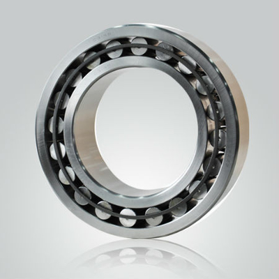 C2226 CARB toroidal roller bearings