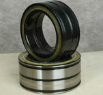 SL045011-PP double row full complement cylindrical roller bearing,sealed bearing