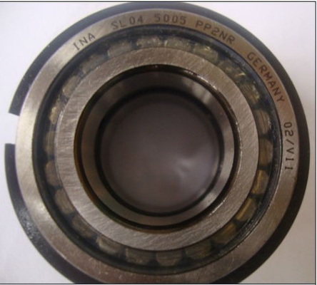SL045004-PP double row full complement cylindrical roller bearing,sealed bearing