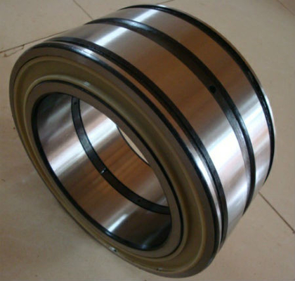 SL045024-PP double row full complement cylindrical roller bearing,sealed bearing