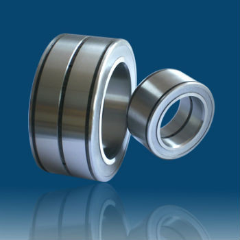 SL045019-PP double row full complement cylindrical roller bearing,sealed bearing