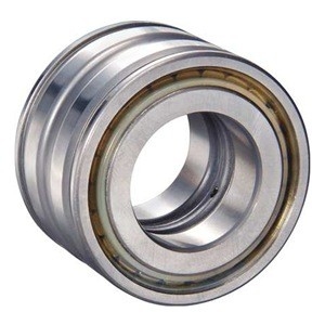 SL045008-PP double row full complement cylindrical roller bearing,sealed bearing
